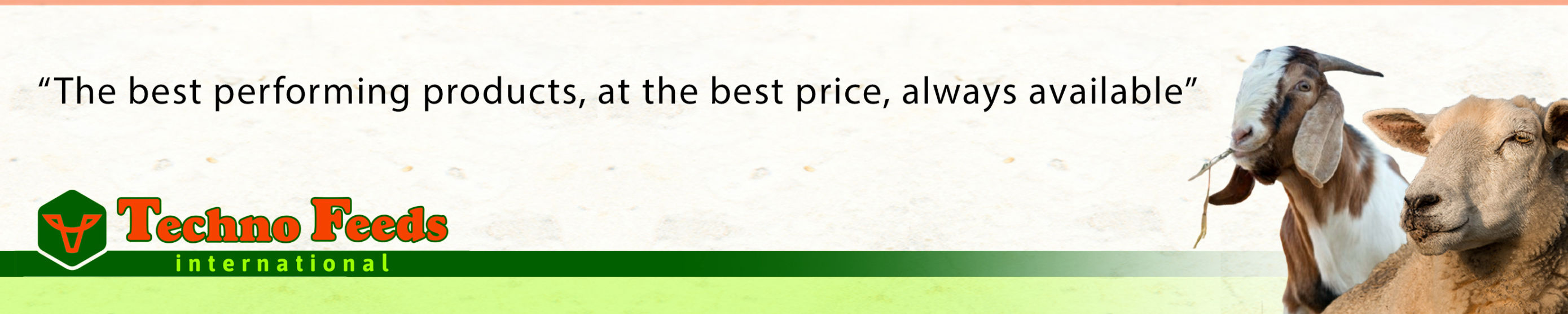 Small Stock Feeds