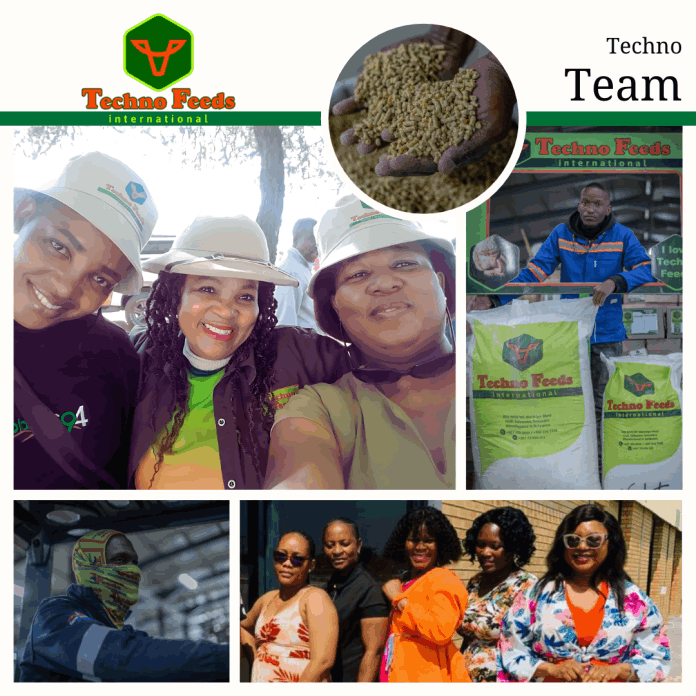 Techno Feeds Team